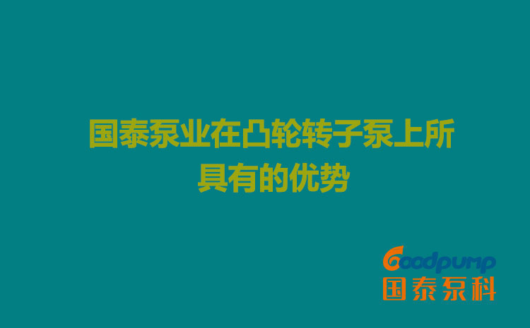 91香蕉APP下载泵业在凸轮91香蕉视频污上所具有的优势